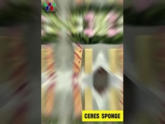 Esponja de Ceres viscovita